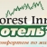 Forest Inn / Форест ин